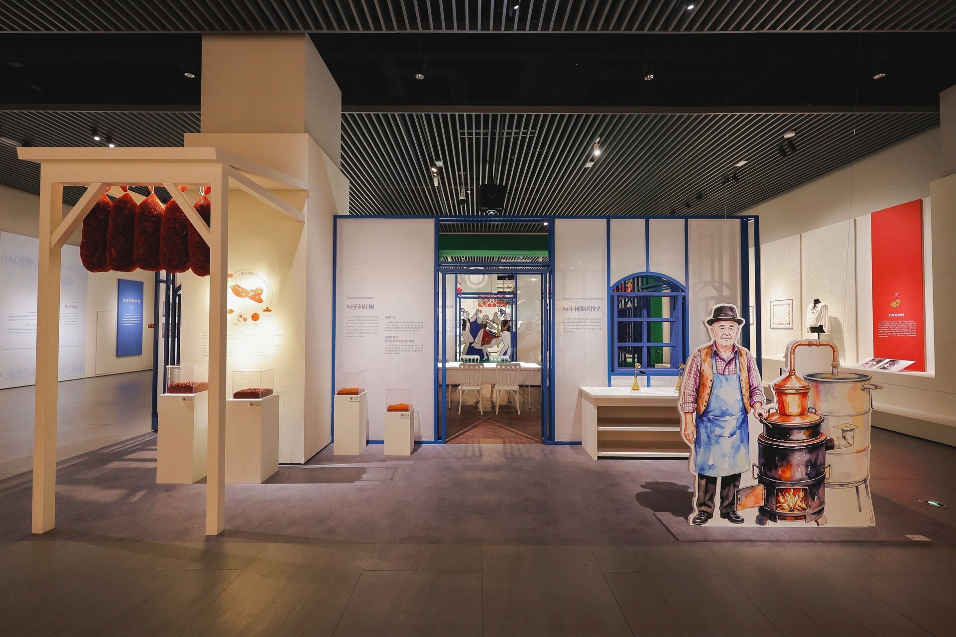 Installation view of Songs of Life Along the Danube at the Zhejiang Intangible Cultural Heritage Museum, showing exhibition sections on Hungarian paprika, wine traditions, embroidery, and staged domestic settings with blue-framed interiors and cutout figures.